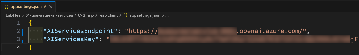 appsettings.json