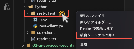 Open Integrated Terminal