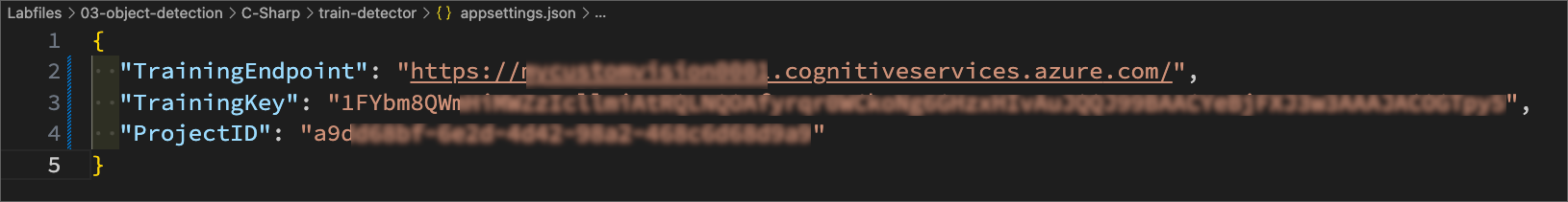 appsettings.json
